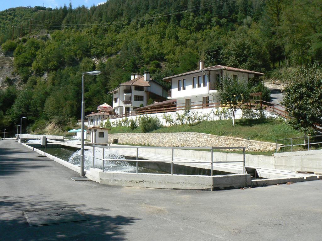 Fisherman's Hut Family